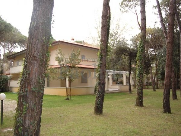 Riferimento V173 - Villa Bifamiliare in Affitto a Vittoria Apuana