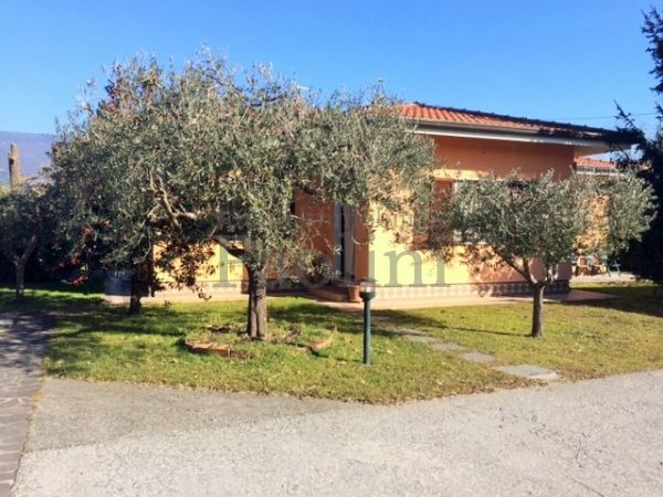 Riferimento V498 - Villa Singola in Affitto a Cinquale