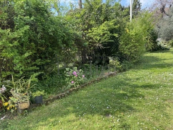 Riferimento V738 - Villa Singola in Vendita a Cervaiolo